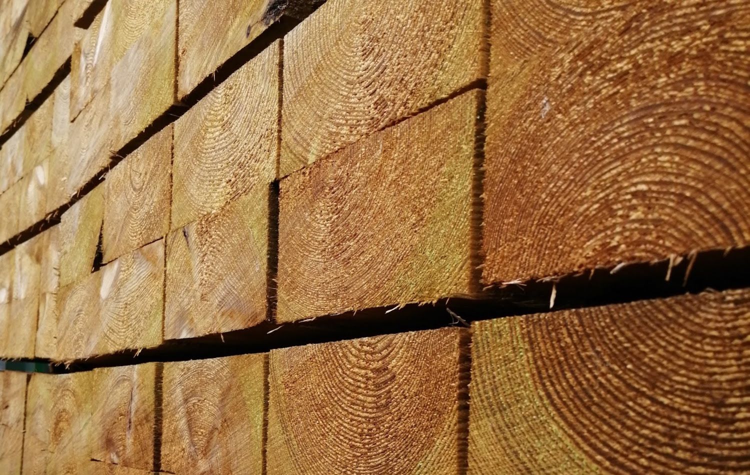 Odoo • Image and Text